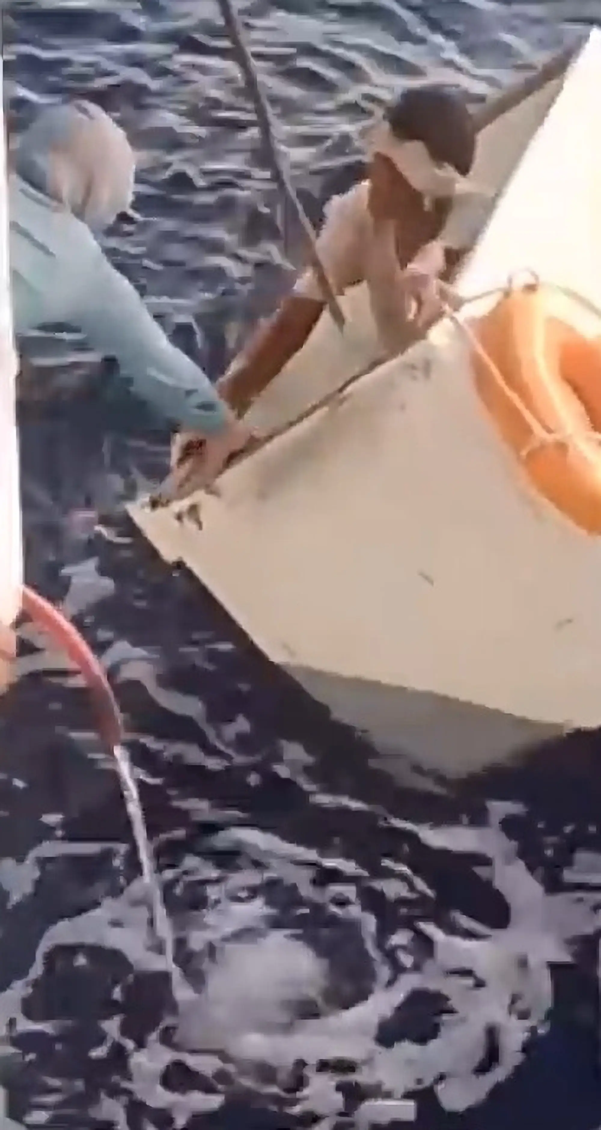 The 44-year-old had been hiding in a freezer for 11 days.