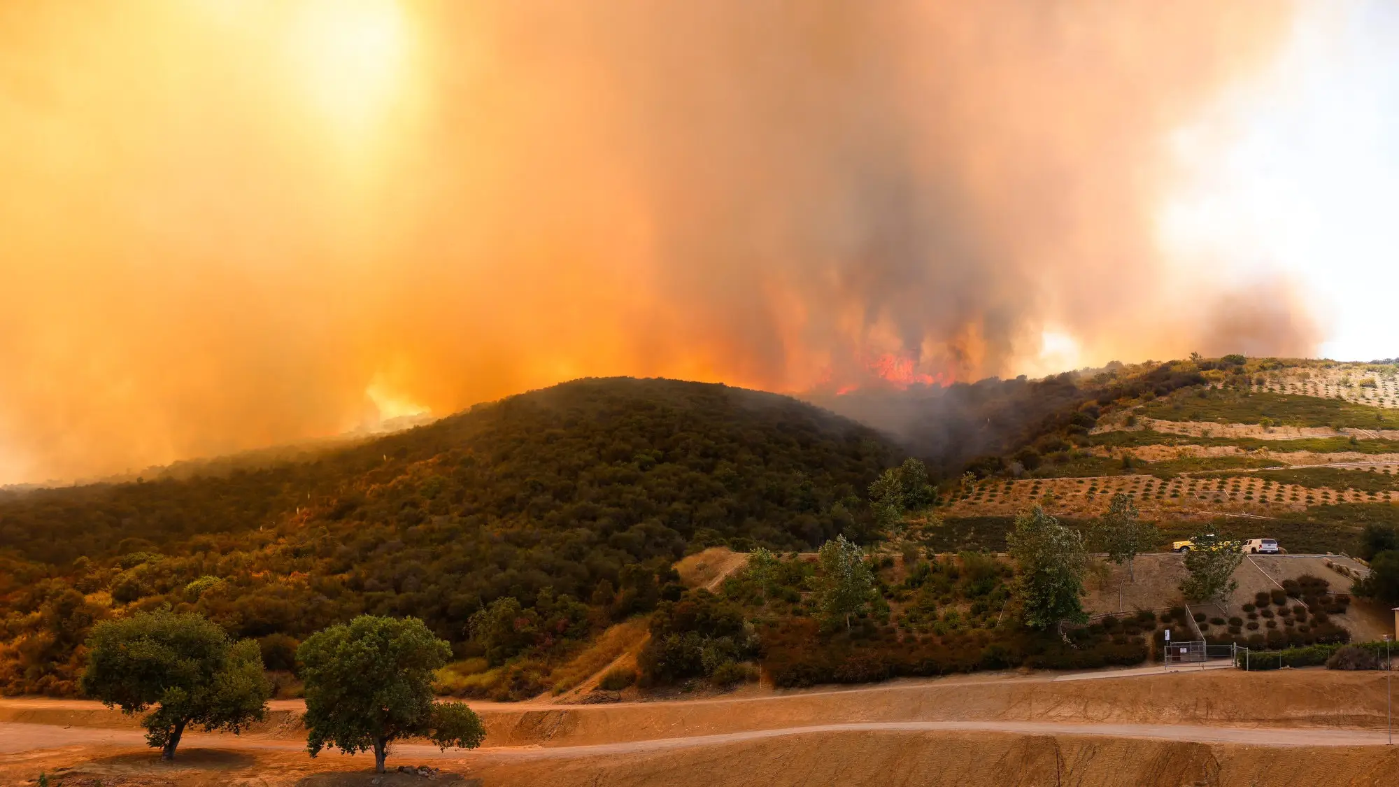 The fire currently spans over 1,300 acres (Kayla Bartkowski / Los Angeles Times via Getty Images)