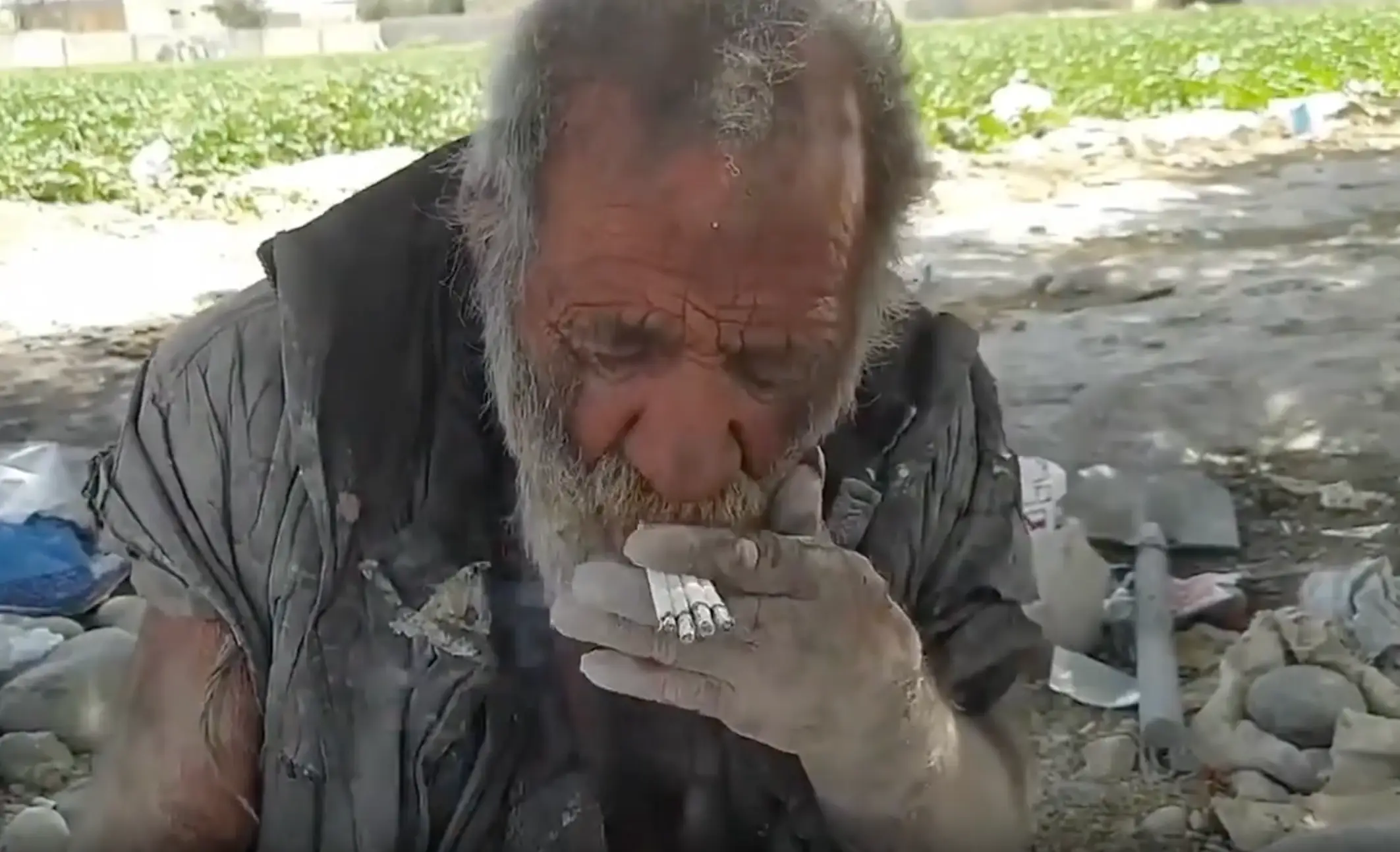 Amou Haji passed way in October 2022.