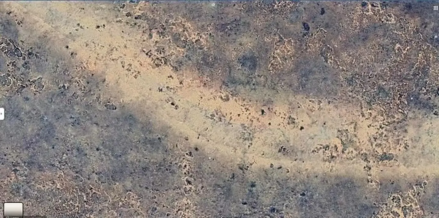 Scientists were 'intrigued' by the discovery (Google)