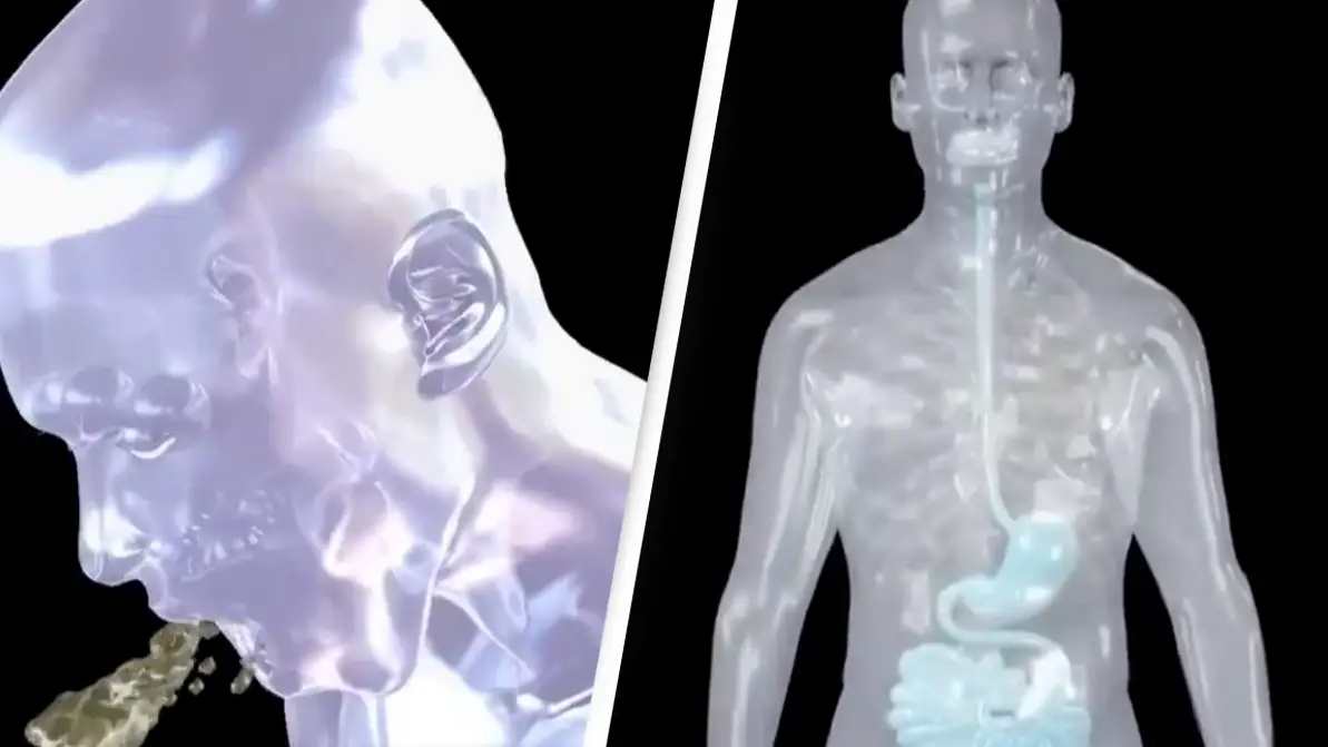 Respective Owner/ Instagram/ @today_knowledges