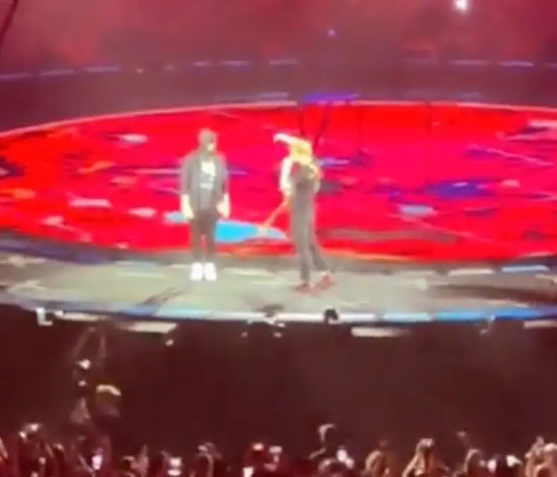 The crowd erupted in cheers when Eminem appeared on stage.