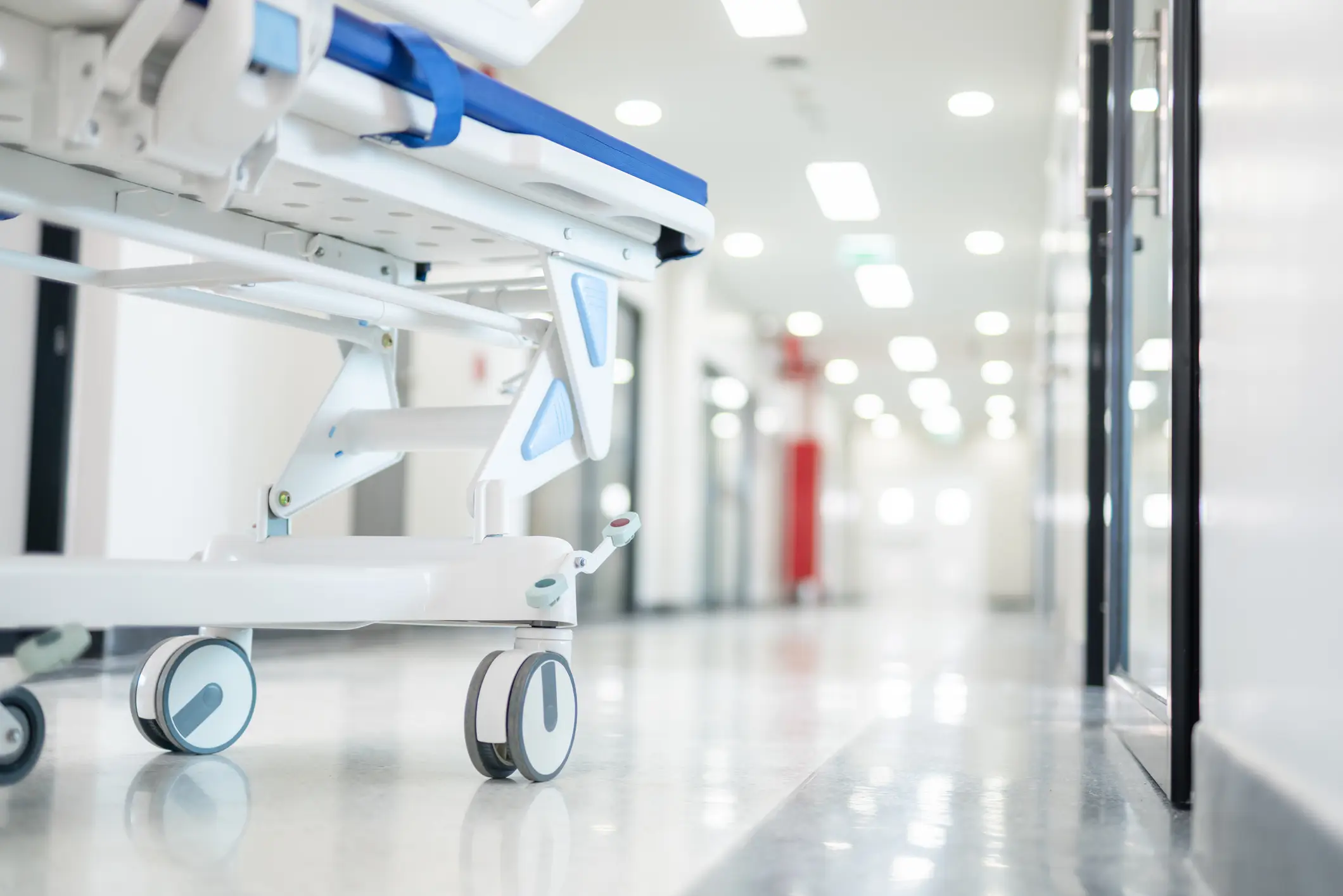Candida auris is most commonly found in health care settings (Getty Stock Image)