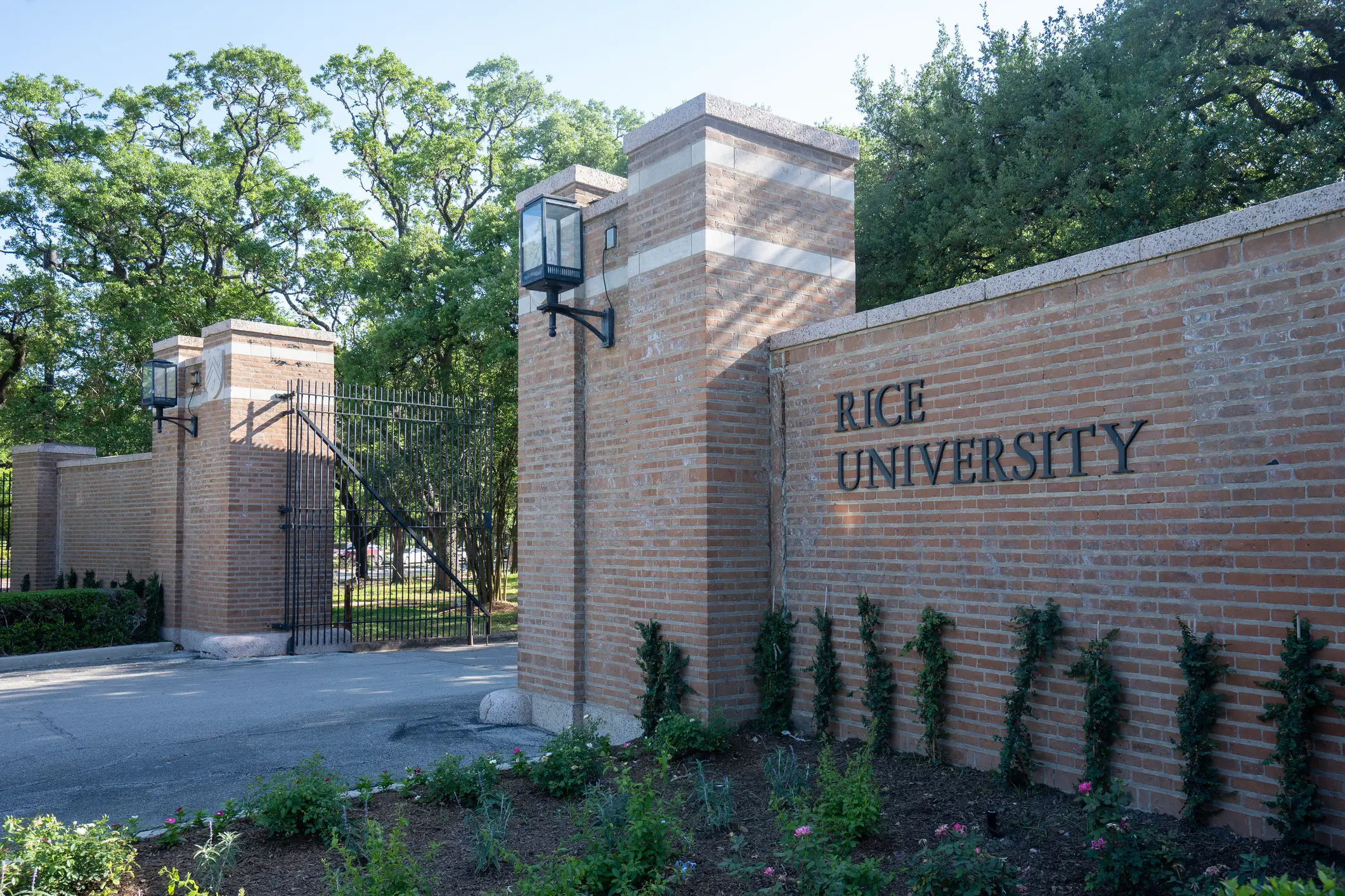 The university in Texas released a statement (Getty)