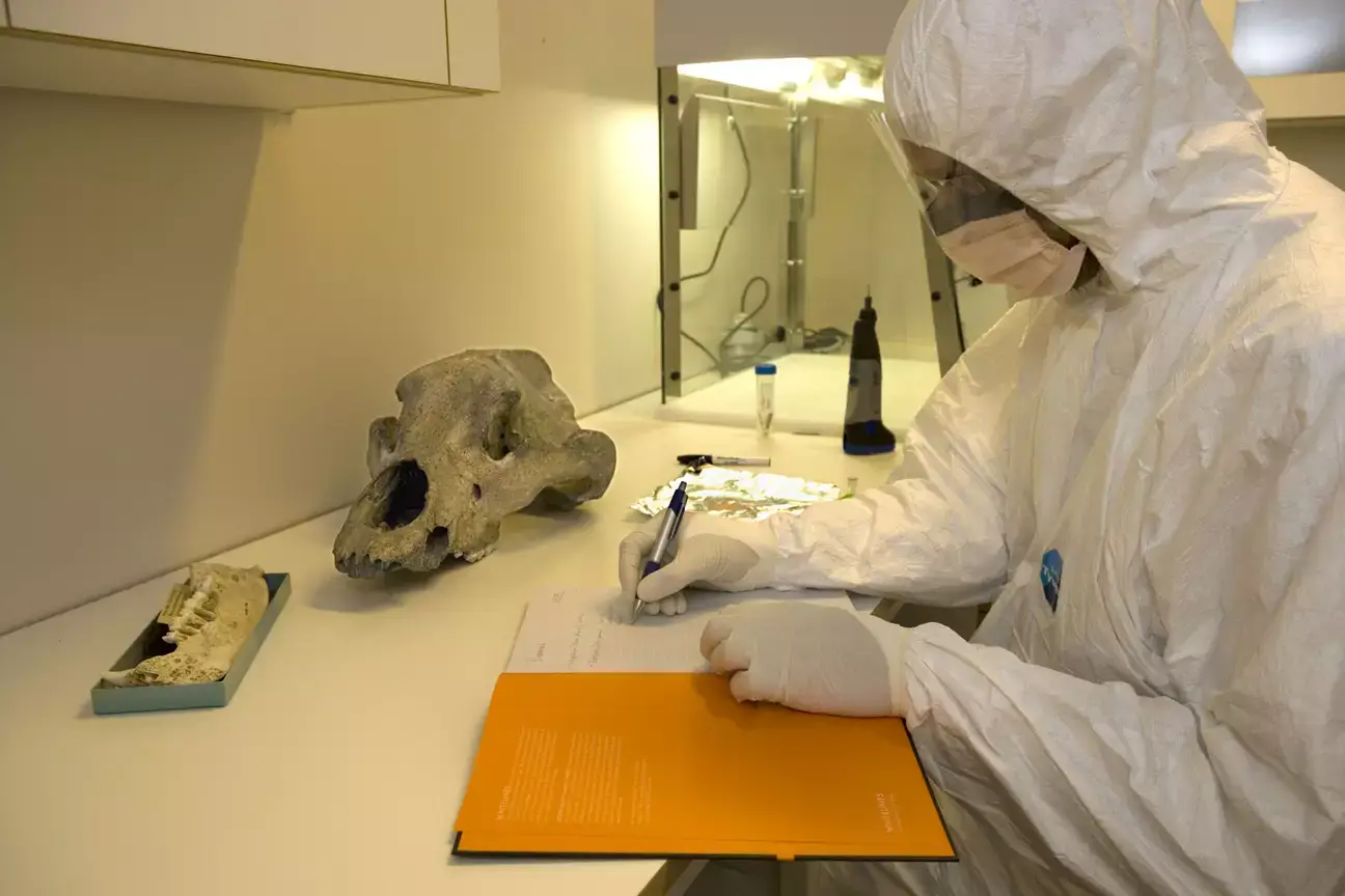 Scientists now know exactly what species the 'oldest confirmed dog' actually is.