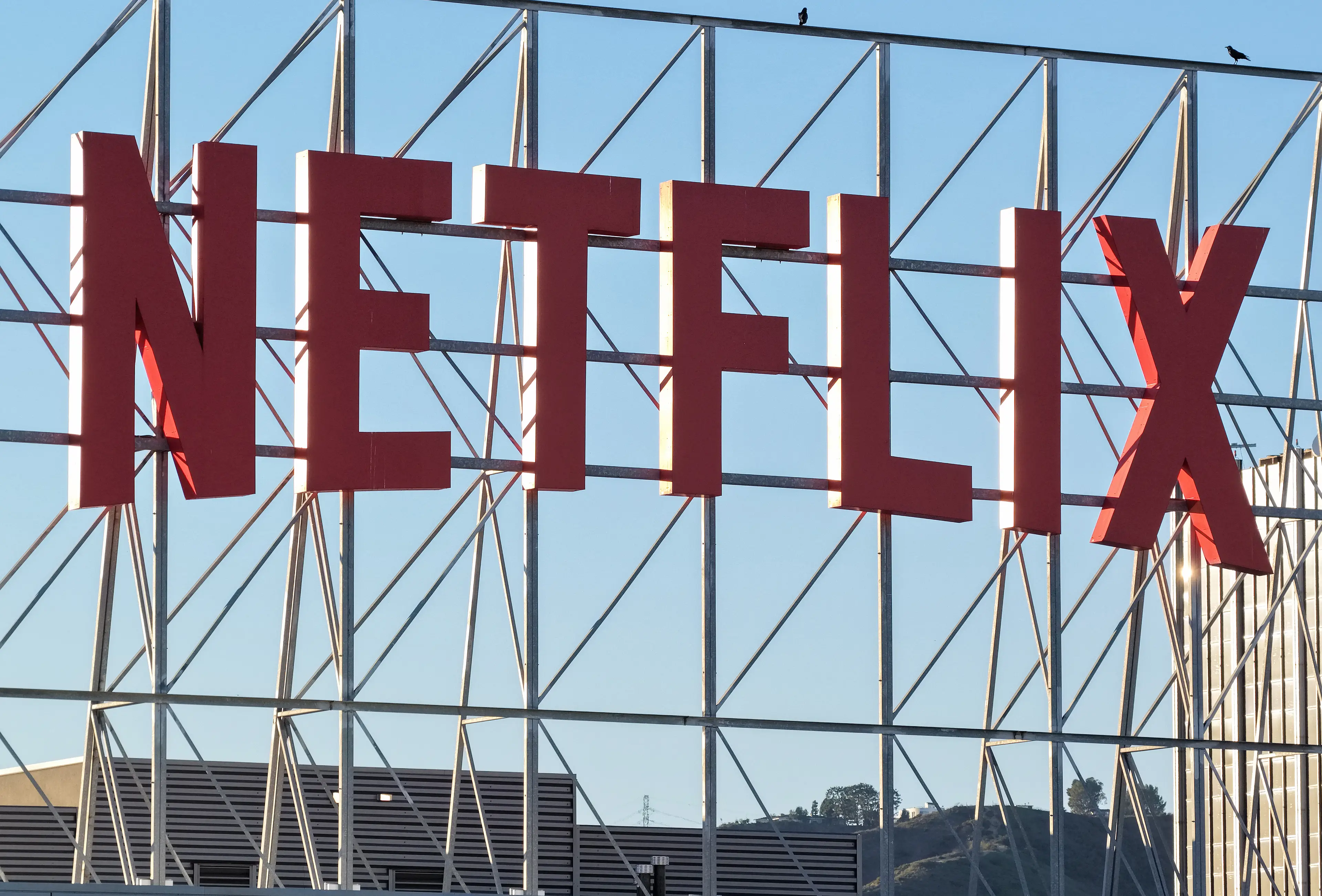 Netflix has dominated the market (Mario Tama/Getty Images)