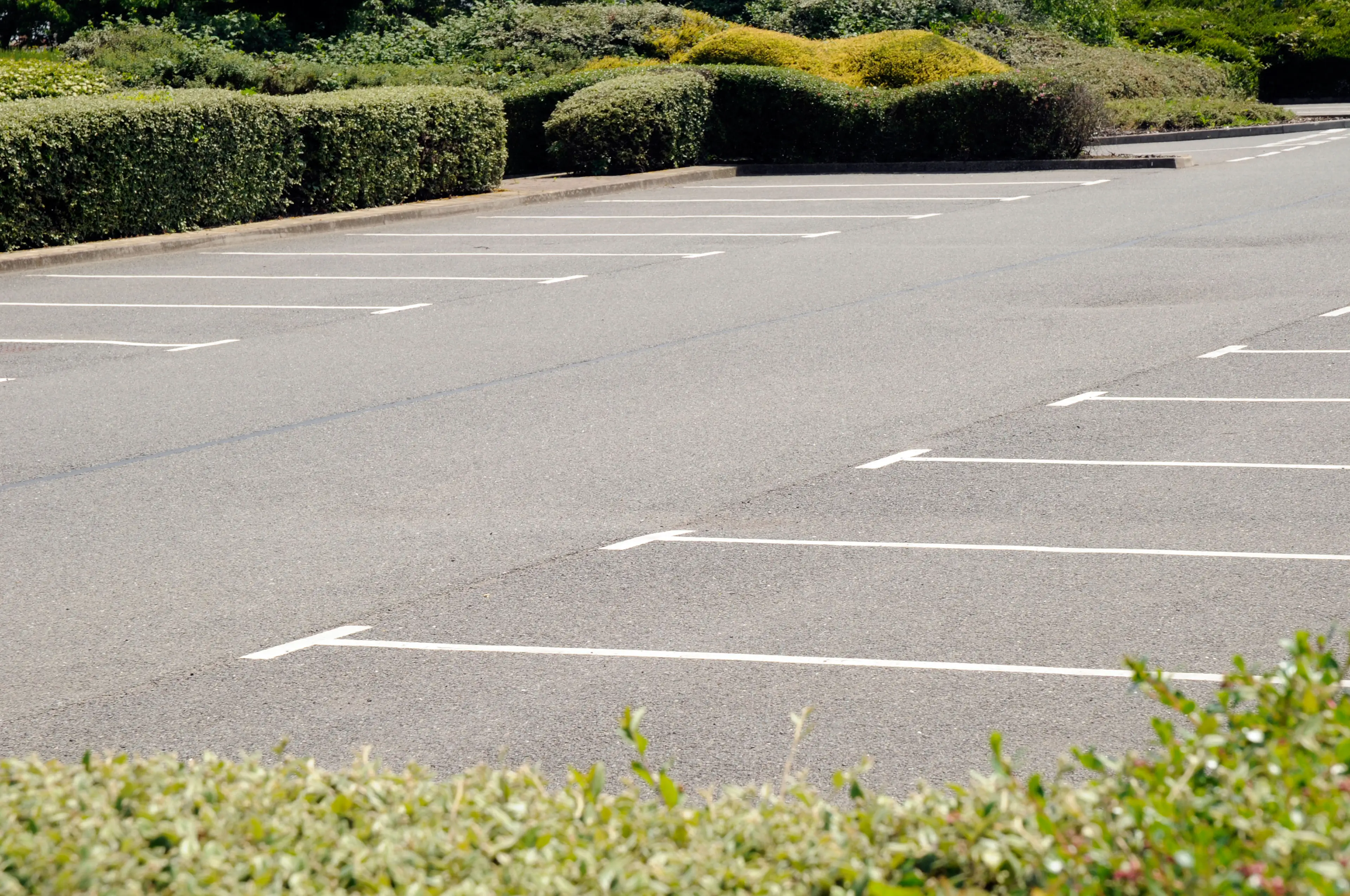 Michelle's family's car was found in the mall car park.