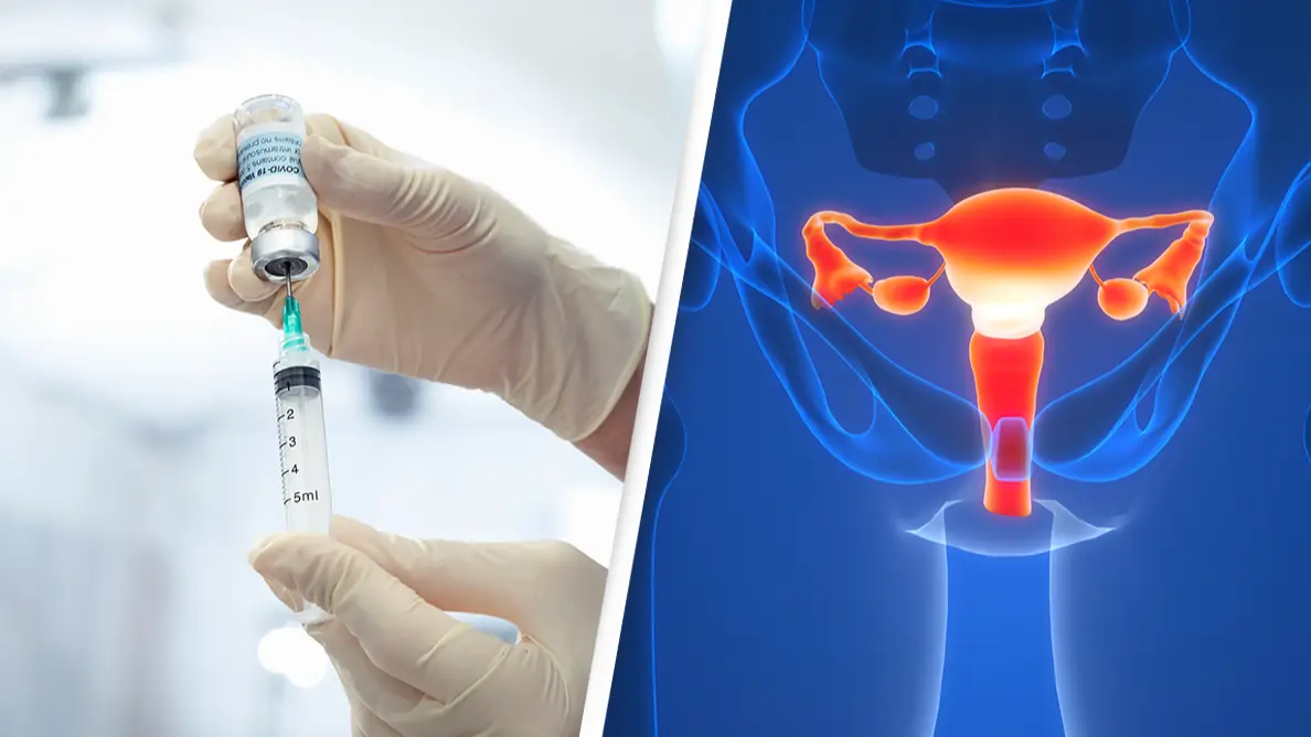 Monty Rakusen/Magicmine/Getty Images