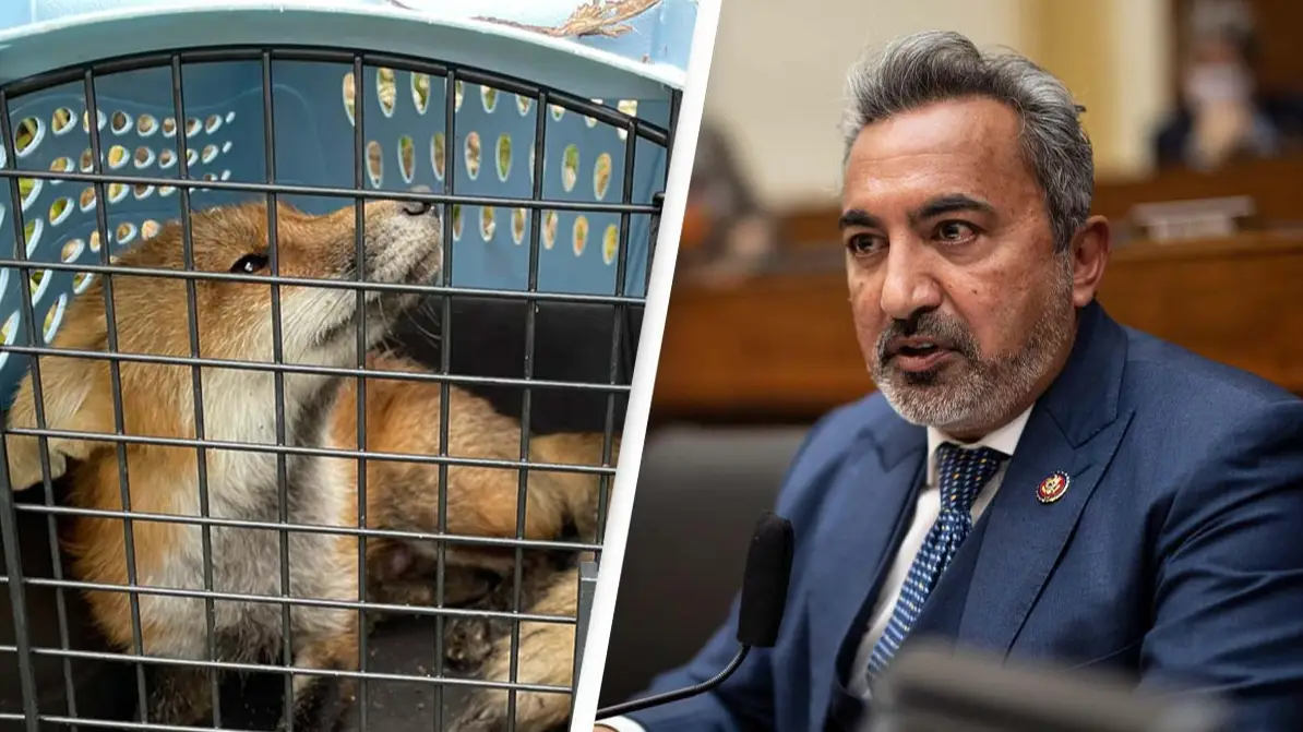 @CapitolPolice/Twitter/Alamy