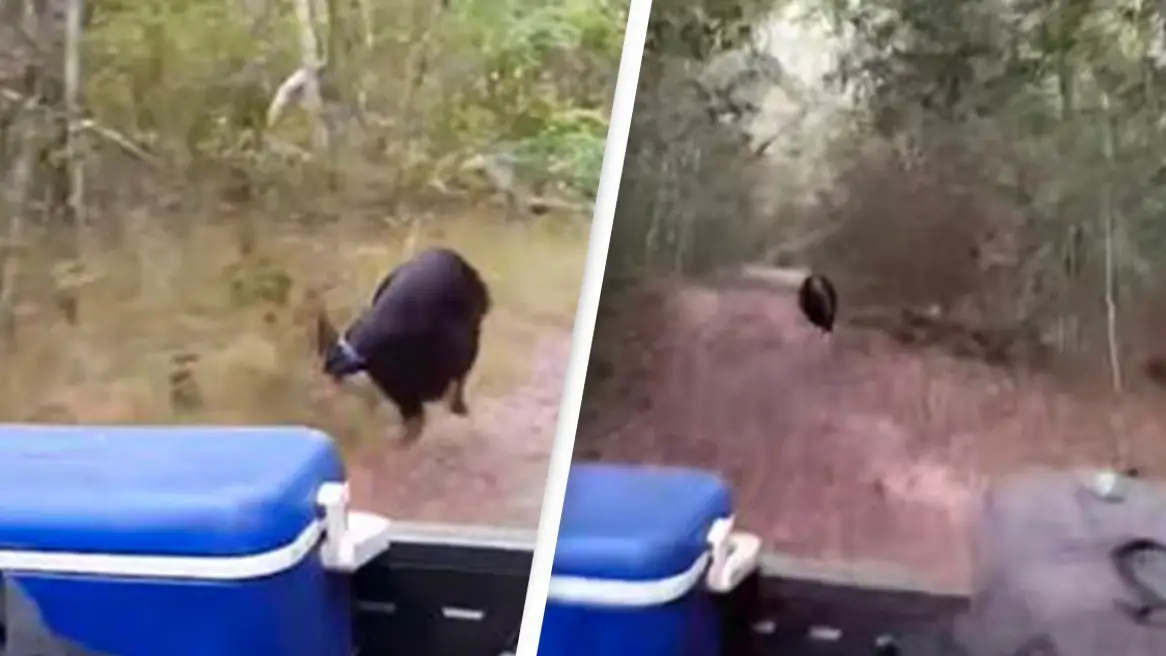 Facebook/Wuthathi Aboriginal Corporation