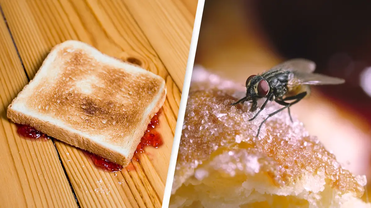 Patrick Strattner/Oxford Scientific/Getty Images