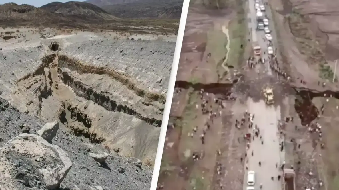 Julie Rowland, University of Auckland / BBC