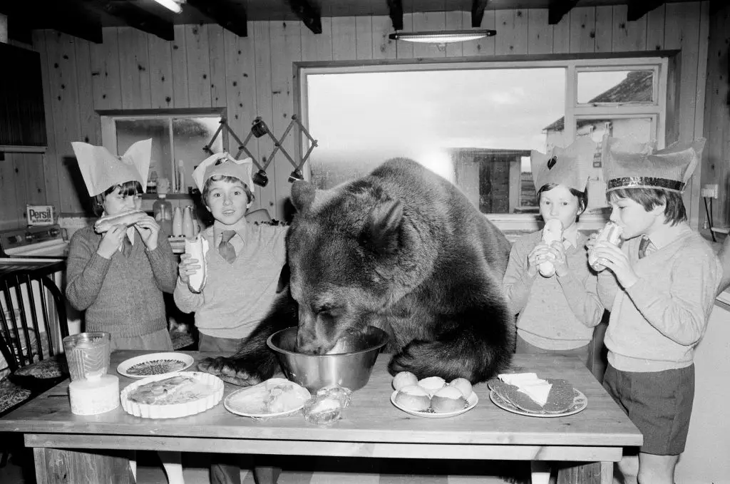 The bear was a local celebrity, here joining a Christmas party with school children (Bill Kennedy/Mirrorpix/Getty Images)