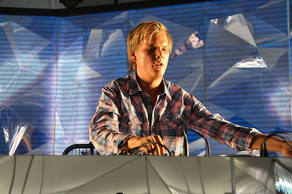 Avicii had admitted he was happier before fame (Brian Killian/WireImage)