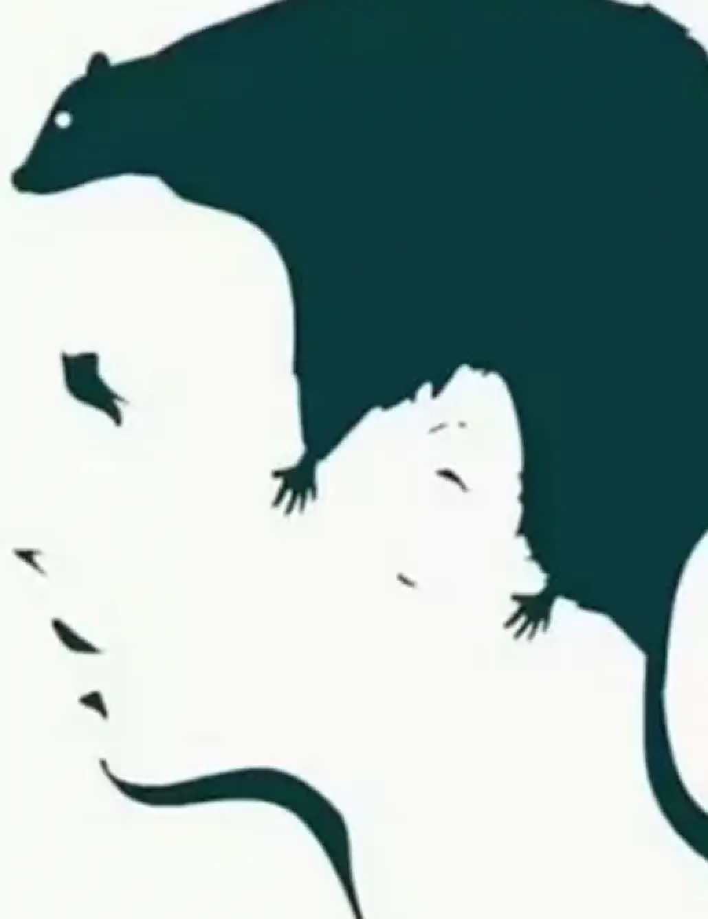 Viewers have been left stunned by the optical illusion.