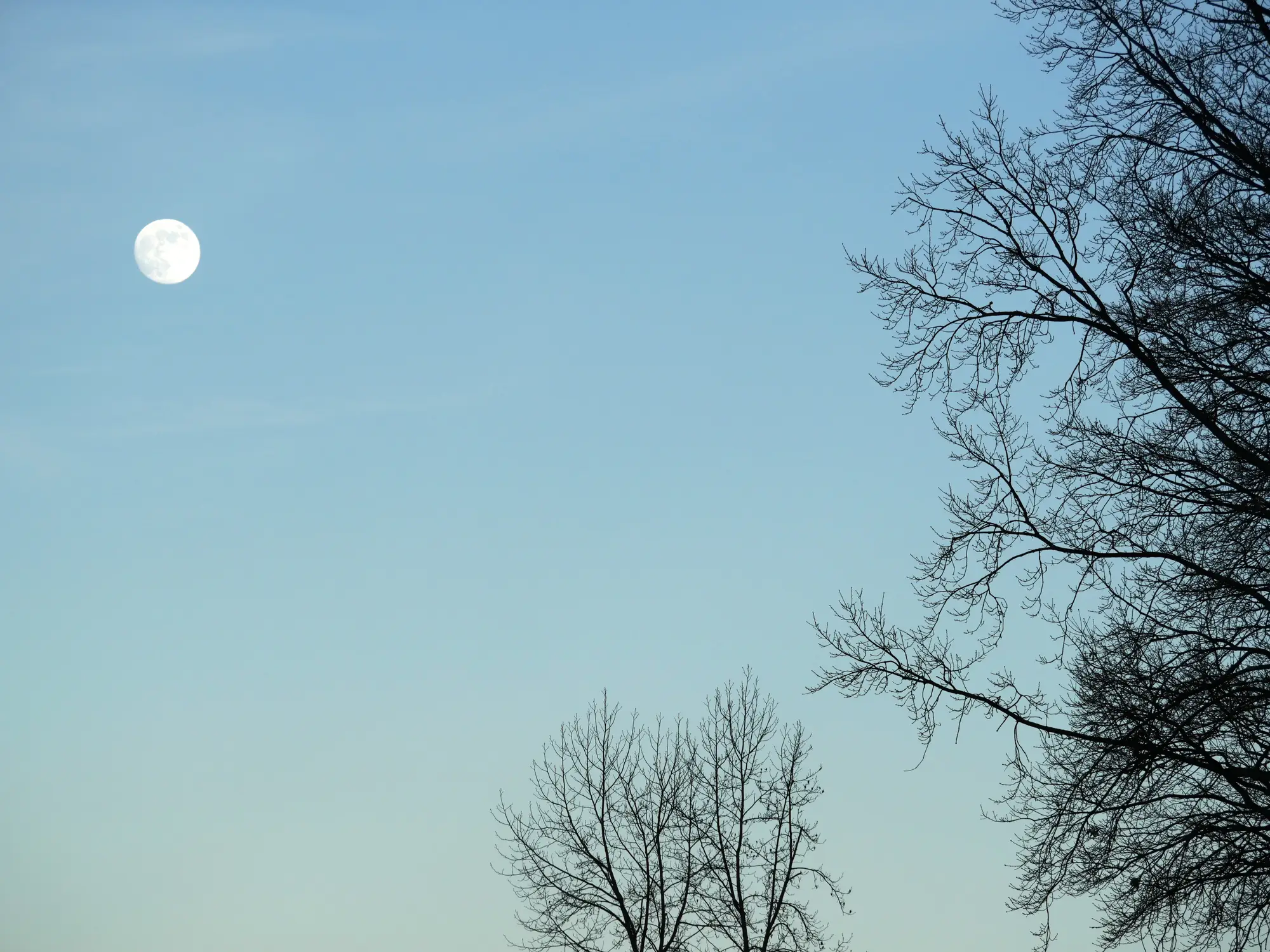 The Moon can sometimes be spotted in the daytime (Getty Stock Image)