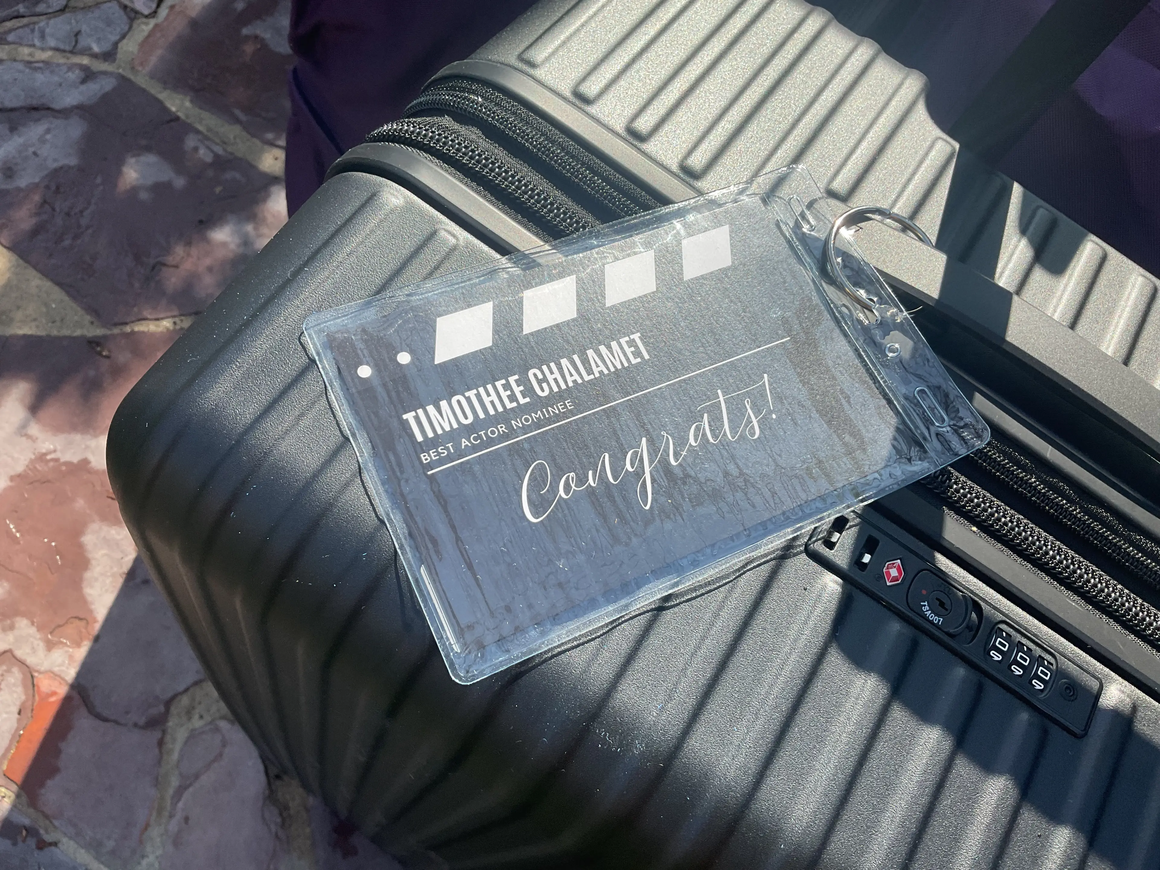 Timothee Chalamet is among the stars given a gift bag (Distinctive Assets)