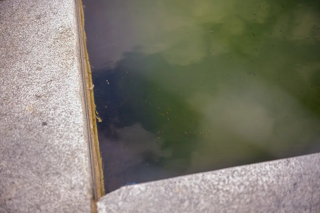 The Reflecting Pool has been experiencing problems (Photo by Andrew Harnik/Getty Images)