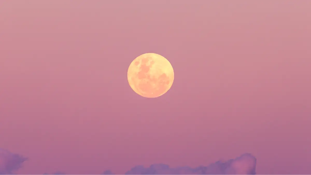 Getty Images/Vicki Smith