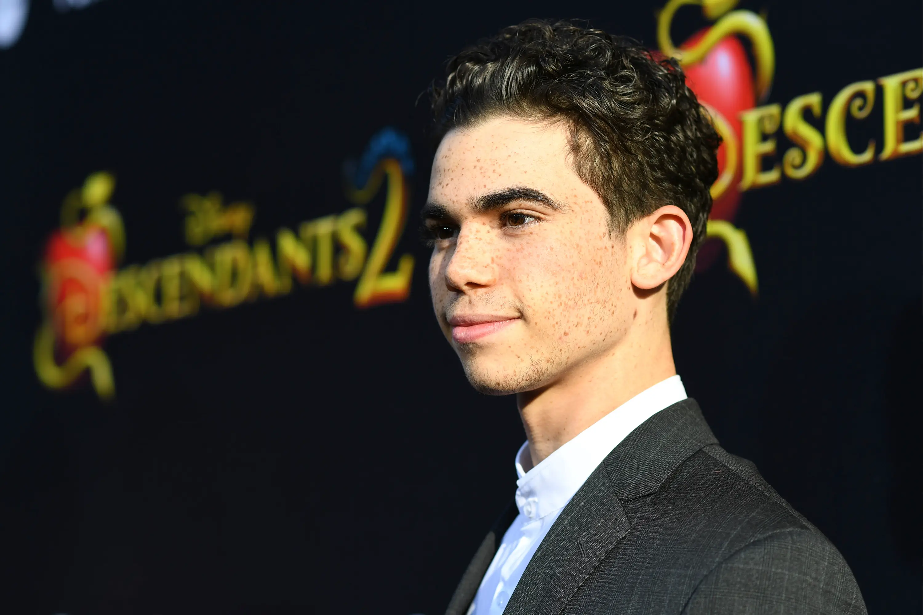 Cameron Boyce died in 2019 (Image Group LA via Getty Images)
