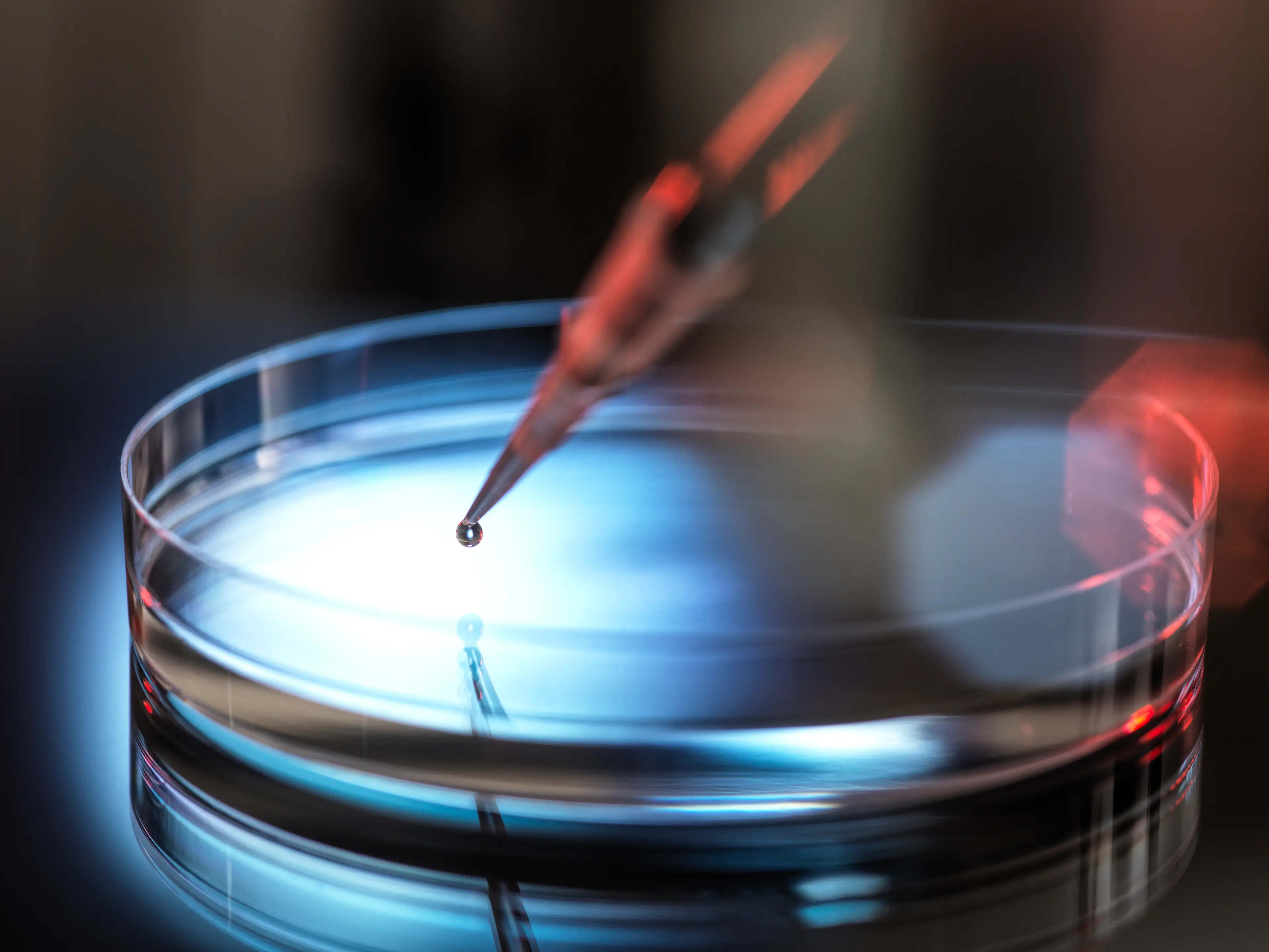 Scientists have noticed how cells behaved in a petri dish after organism death (Getty Stock Photo)