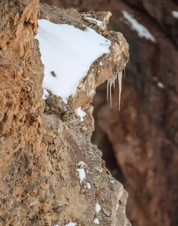 The leopard is hidden somewhere in this photo (Saurabh Desai Photography)Saurabh Desai Photography)