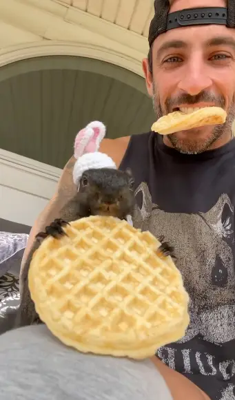 The squirrel had international social media fame (Instagram/@peanut_the_squirrel12)