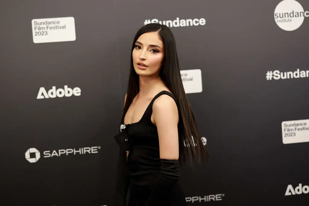 Willis was described as having bladder inflammation and night terrors (Matt Winkelmeyer/Getty Images)