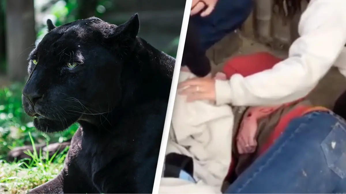 Andrey Tutov/Getty Images/ABC News