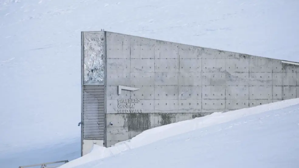 JONATHAN NACKSTRAND/AFP via Getty Images