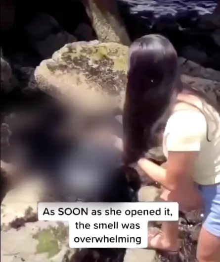 The body was found by a group of teens (TikTok)
