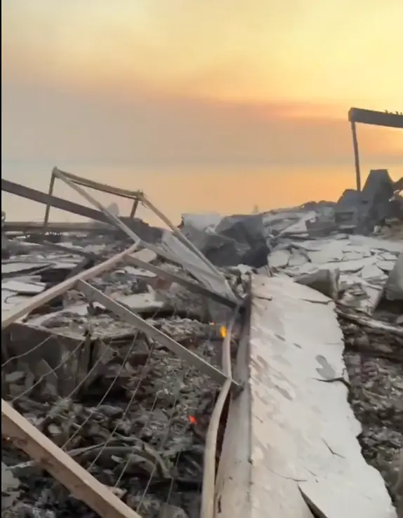 Paris Hilton's home in Malibu was destroyed by one of the California wildfires (Twitter/ @ParisHilton) 