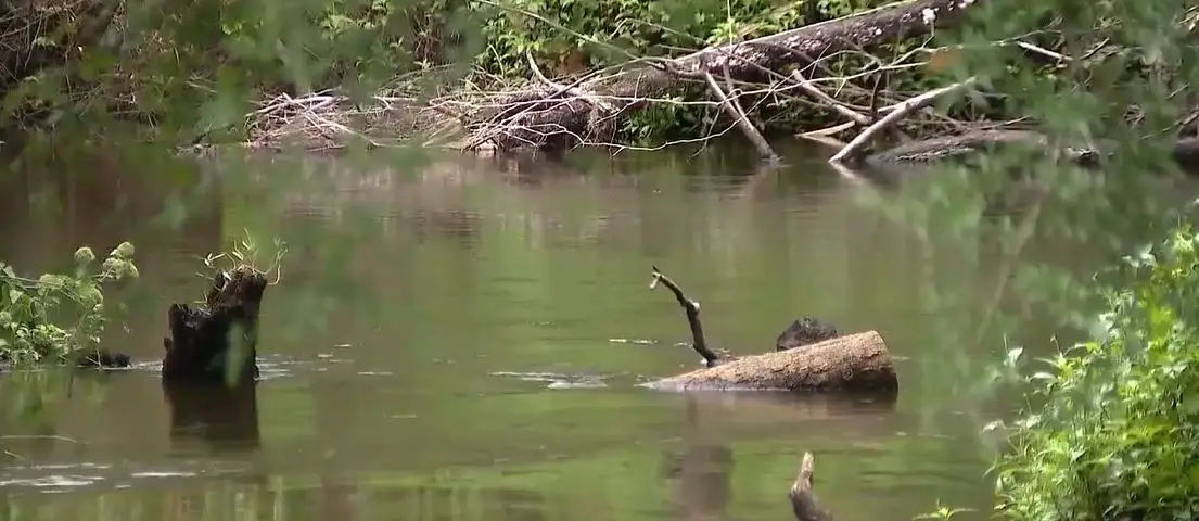 He had been playing with friends at Howell Creek.