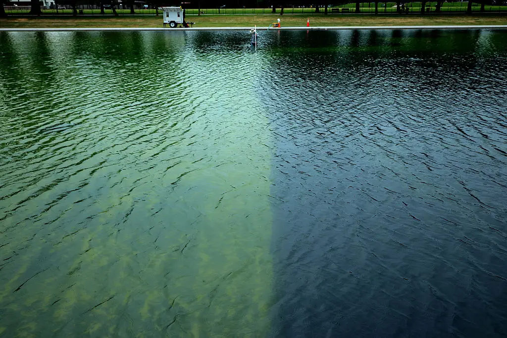The Lincoln Reflecting Pool was damaged (Photo by Chip Somodevilla/Getty Images)