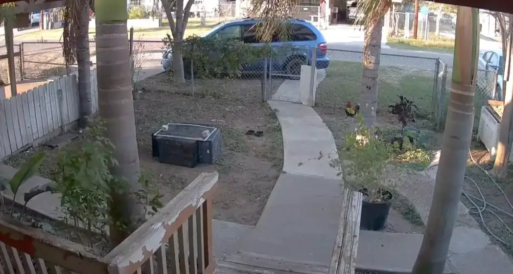 The sonic boom was captured on camera. (Twitter/@disdikmark)