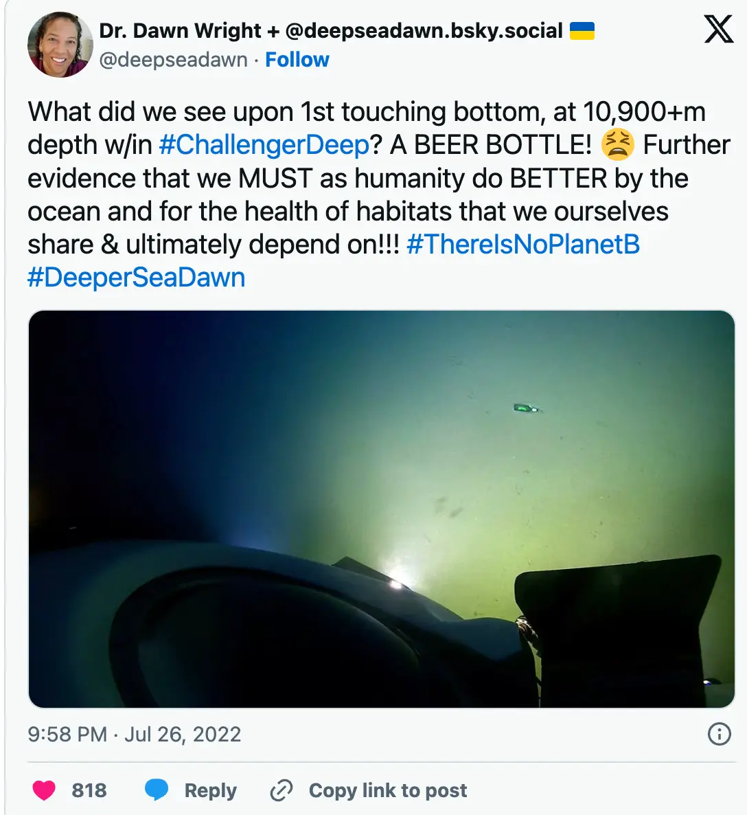 The oceanographer took to social media to share the findings (Twitter/@deepseadawn)
