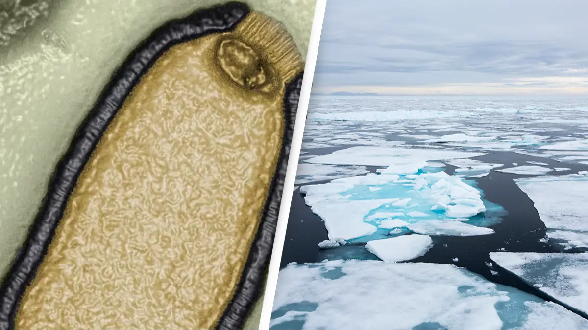 Jean-Michel Claverie/IGS/CNRS-AM/Ashley Cooper/Getty Images