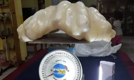 The fisherman is said to have kept it under his bed (Puerto Princesa Tourism Office)