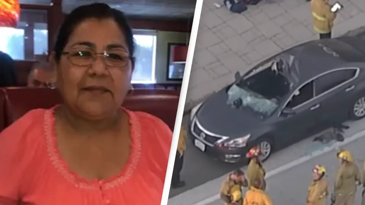 GoFundMe/ YouTube/ABC7