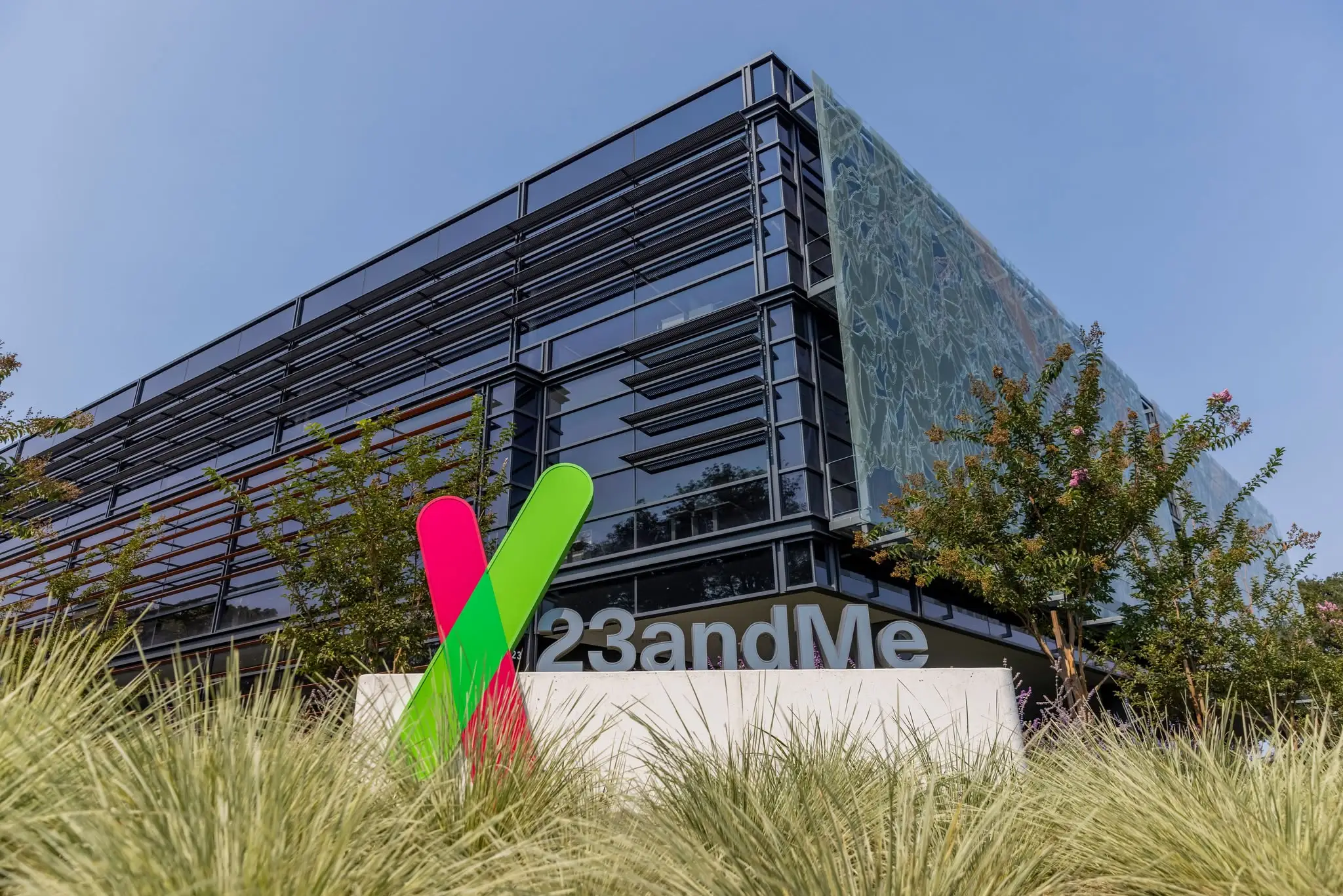23andMe filed for bankruptcy (Getty Stock Images)