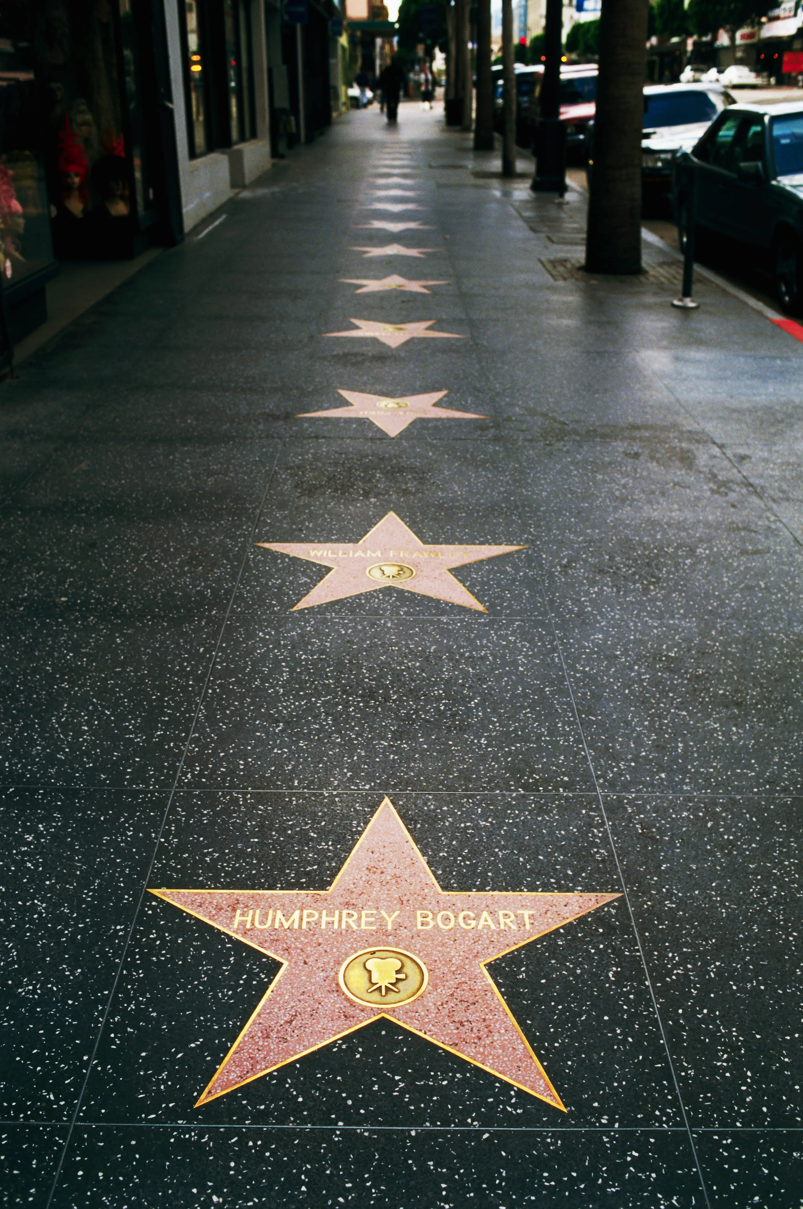 There are different kinds of stars for different kinds of fame (Bill Ross/Getty)