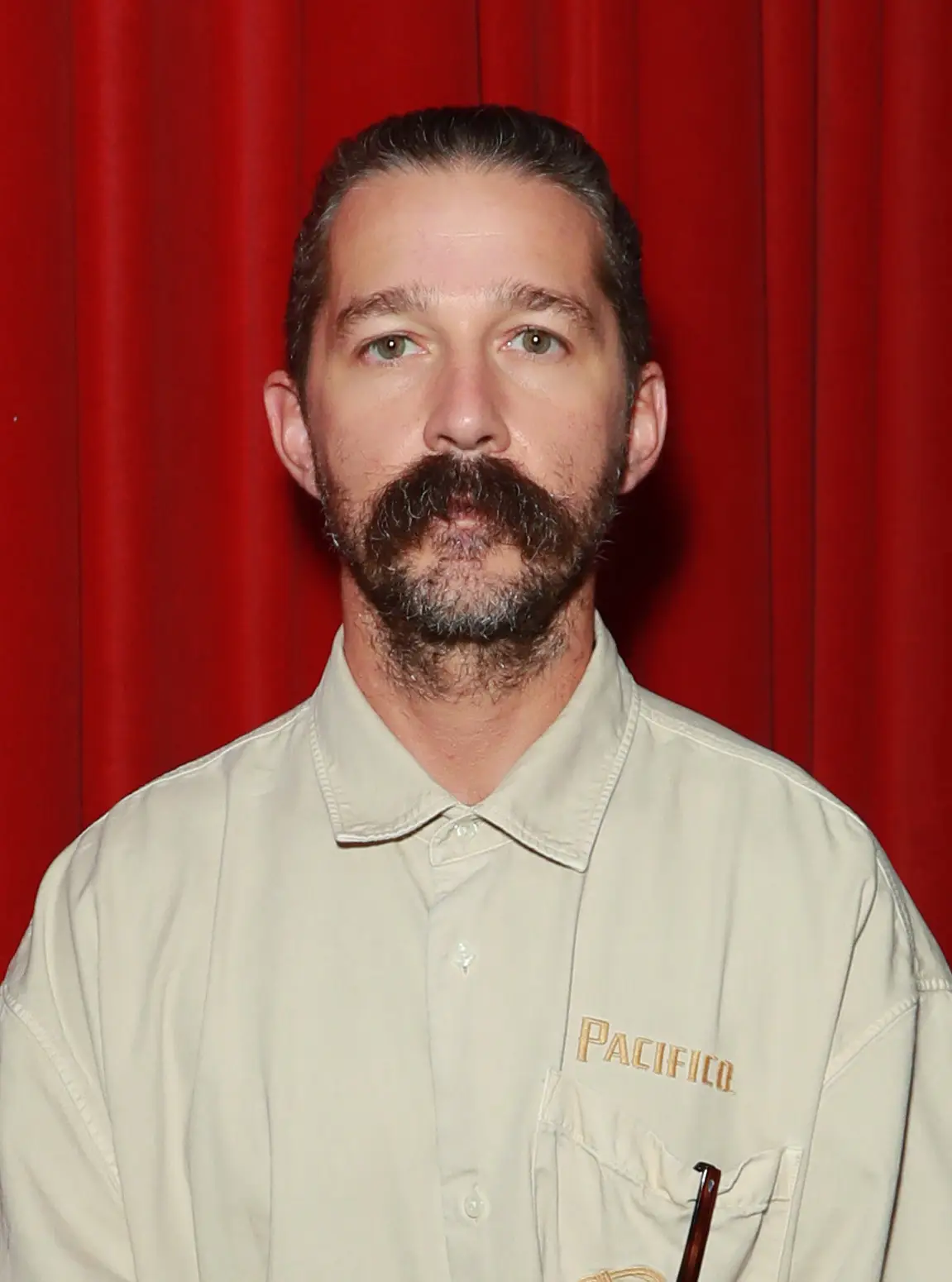 Shia LaBeouf was charged with three counts of battery back in February ( Dave Benett/WireImage)