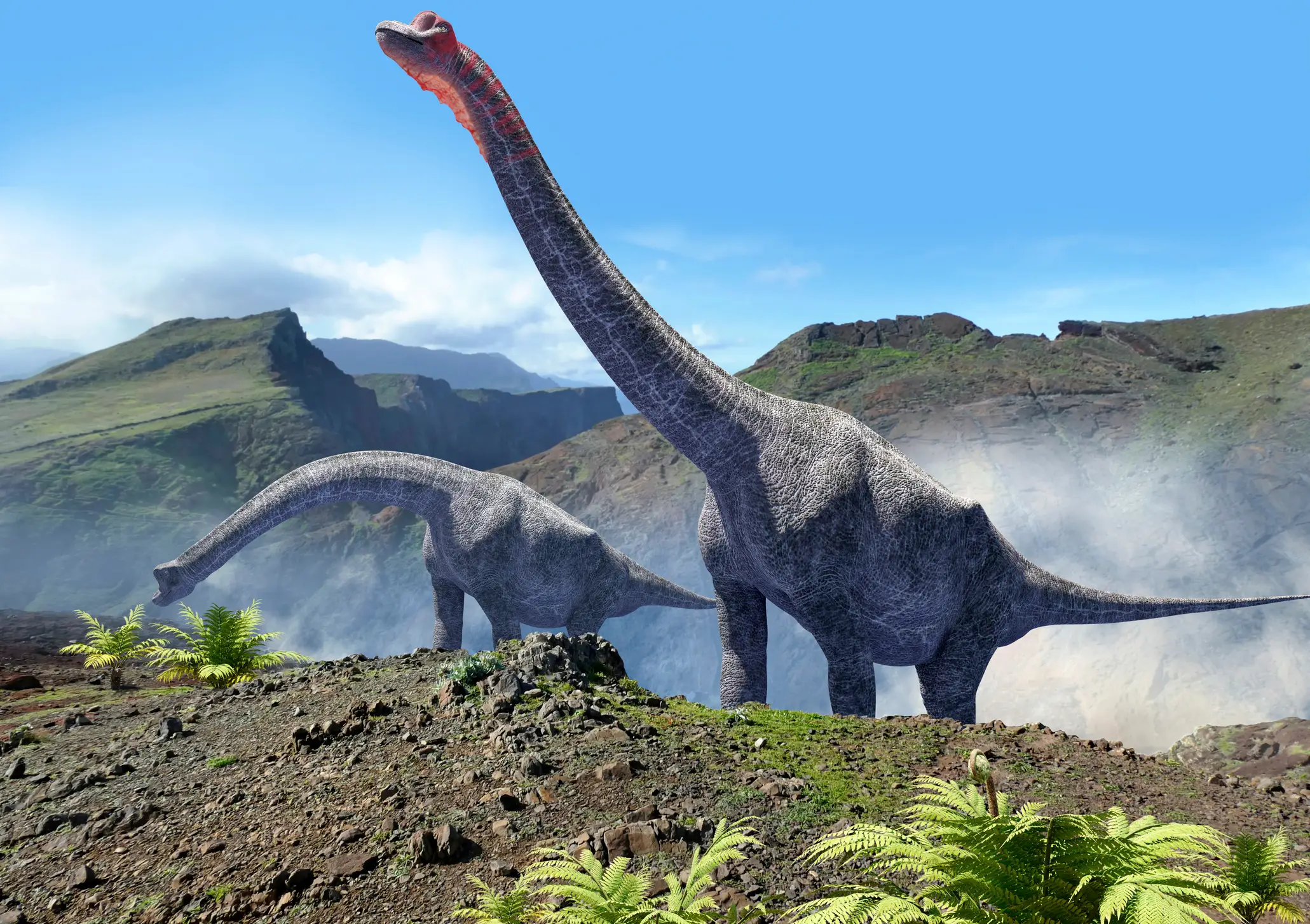 Sauropods roamed the earth millions of years ago (Getty Stock Image)