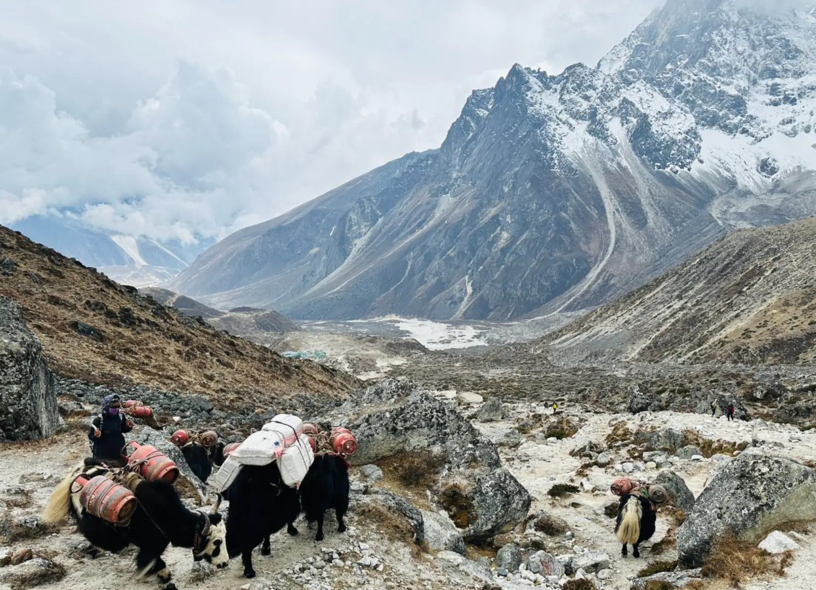 The trip took nine days in total (X/ @NeelBParekh)