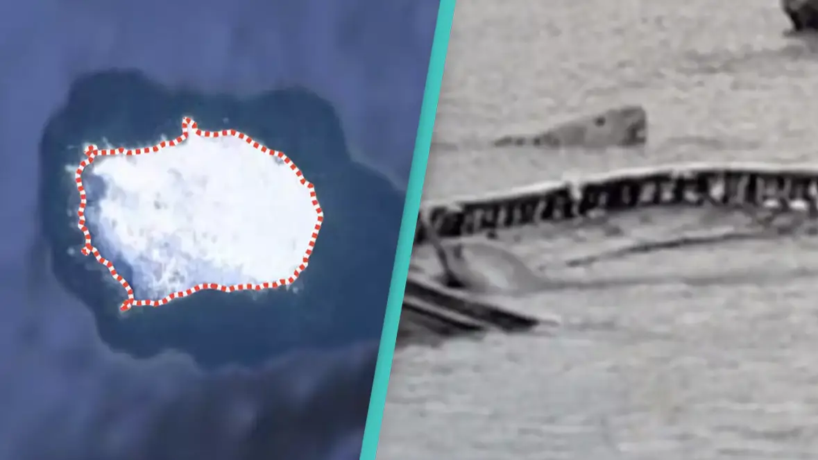 Google Maps / TikTok@grimgriot