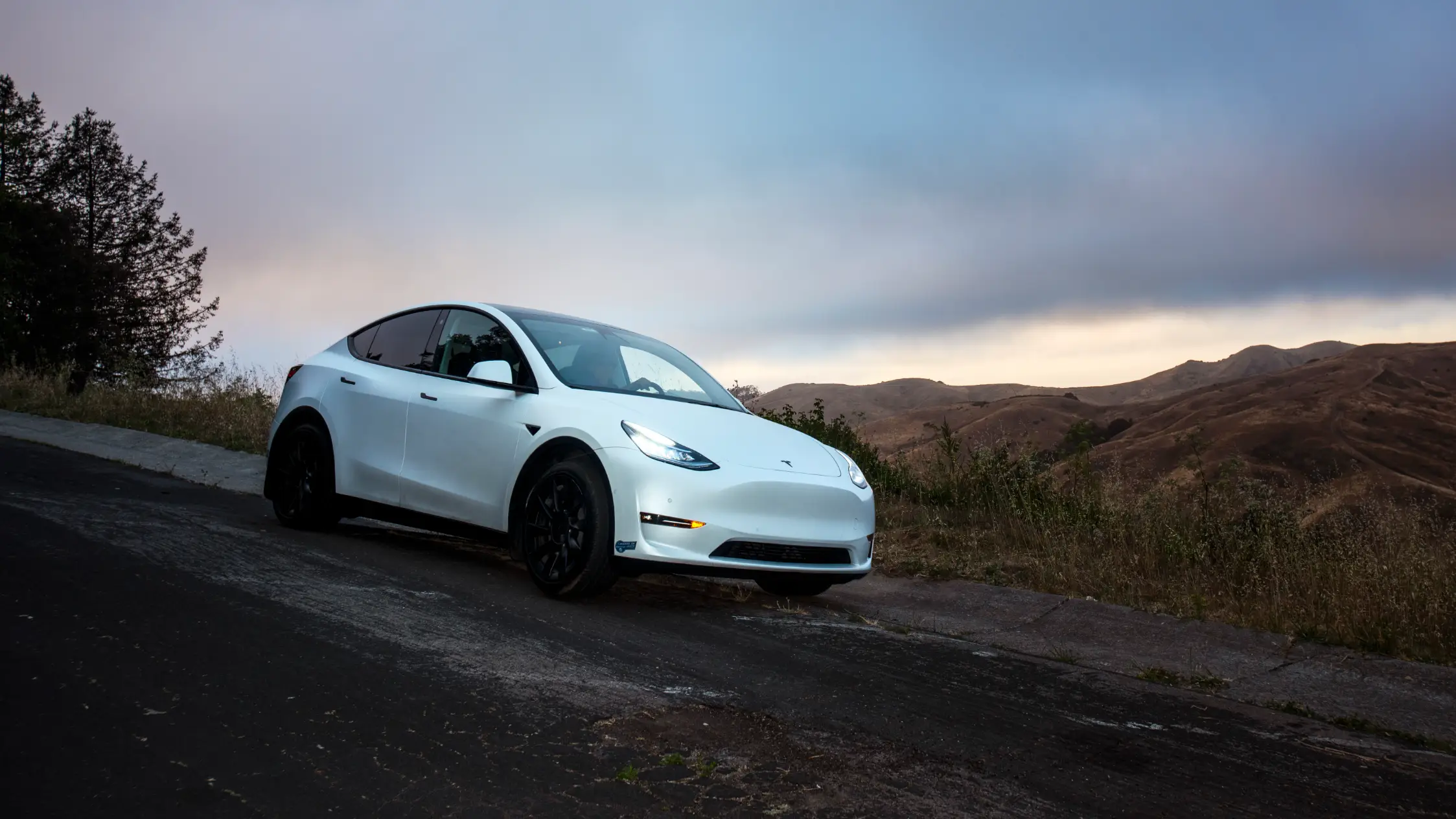 Tesla owner forced to pay $14,000 repair bill one day after buying it