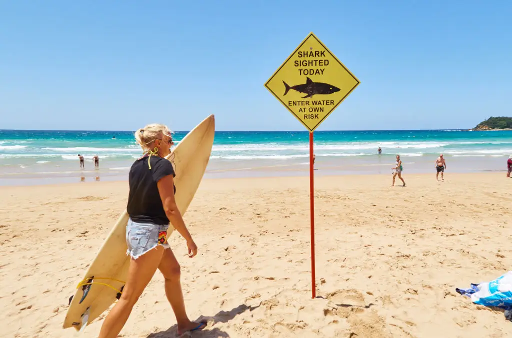 It is the first fatal shark attack in Western Australia since March 2025 (Photo by EyesWideOpen/Getty Images)