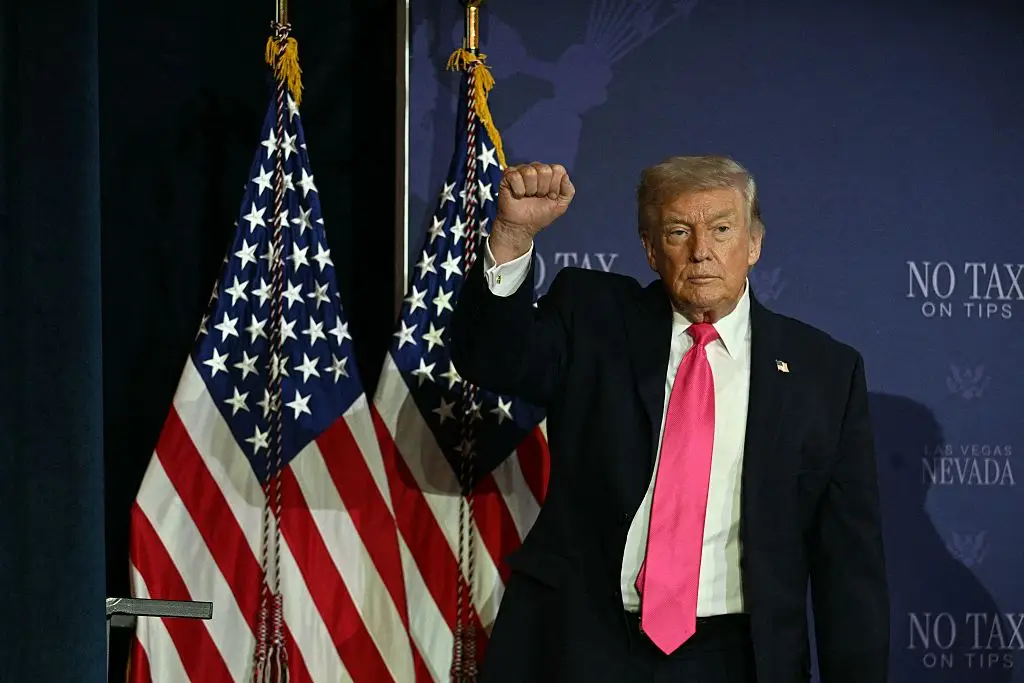 He seemingly blamed himself for turning the country into a 'laughing stock' (Jim WATSON / AFP via Getty Images)