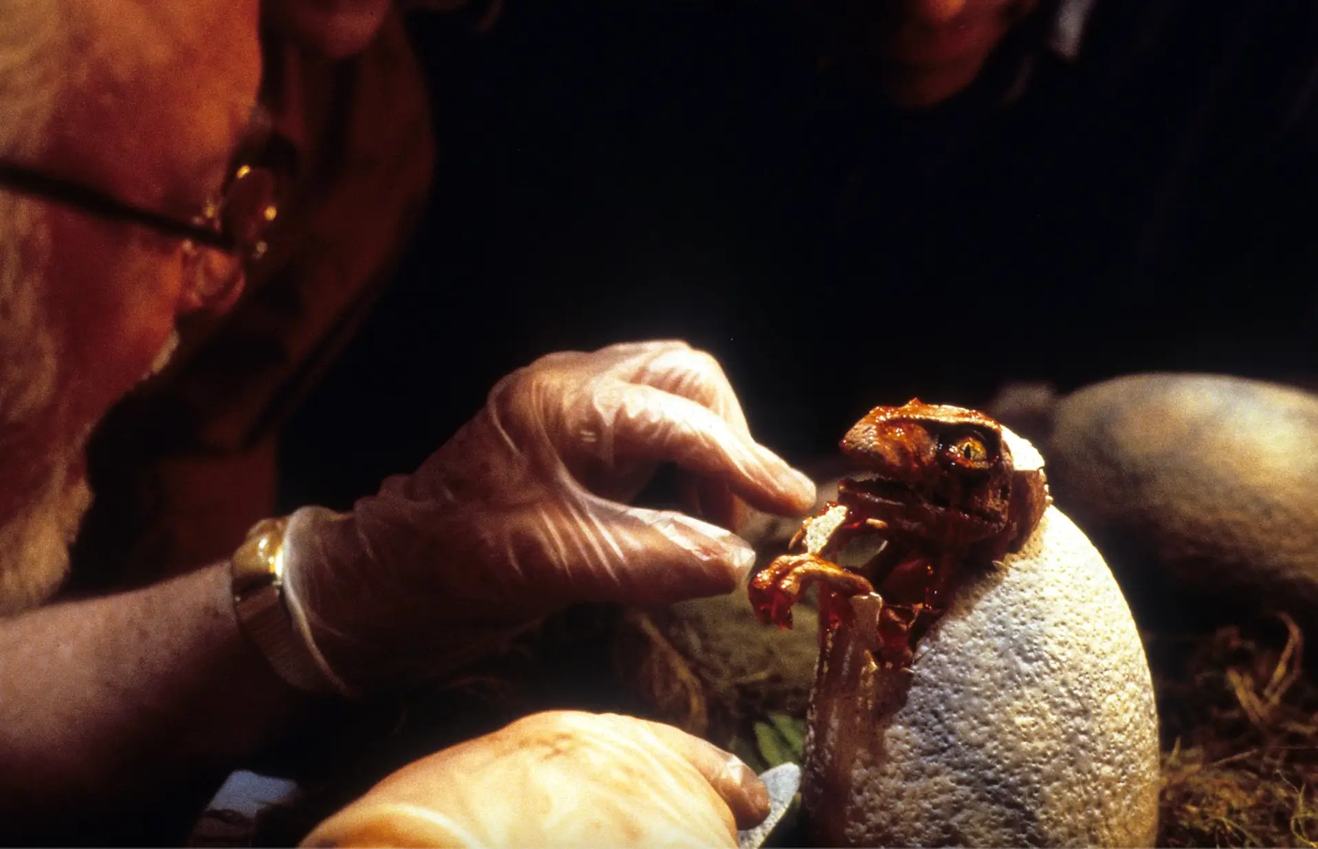 In the film, dinosaurs are brought back using DNA from mosquito's blood (Universal Pictures)