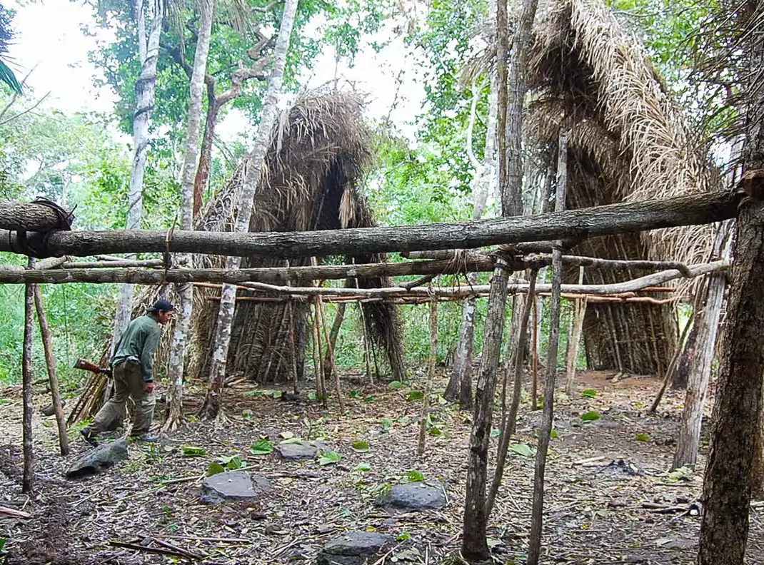 Tall shelters are what help the Massaco stand out (Funai)